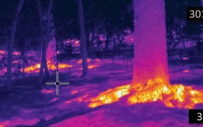 How to: Reintroduction of flames in a fire-excluded landscape