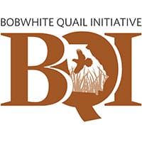 Bobwhite Quail Initiative
