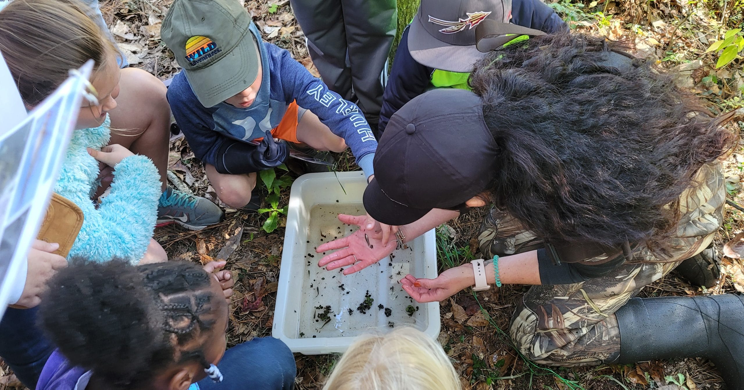 Gentian Creek easement is an ecology education gem