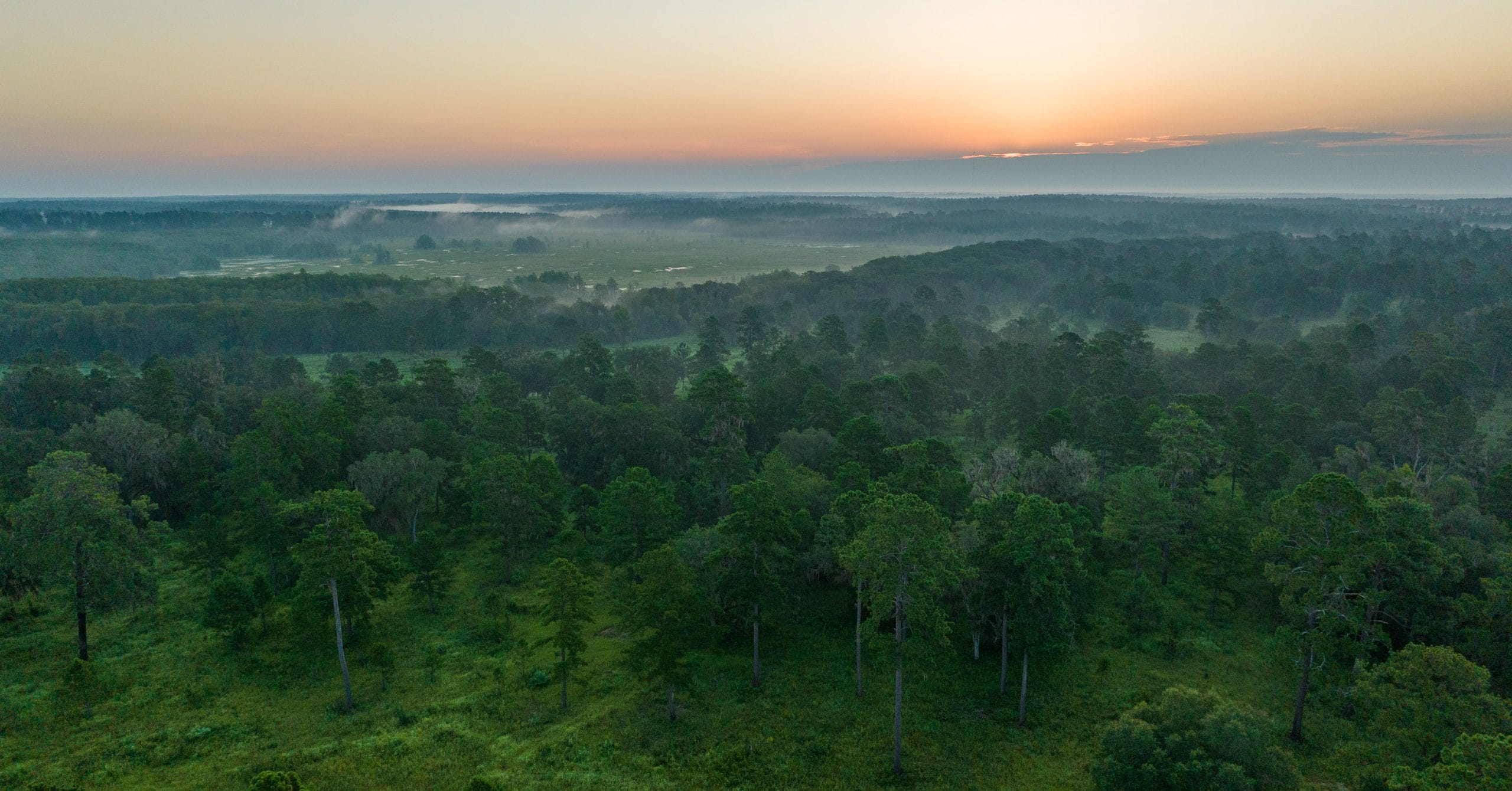 Public and private commitment is key to connecting Red Hills conservation lands