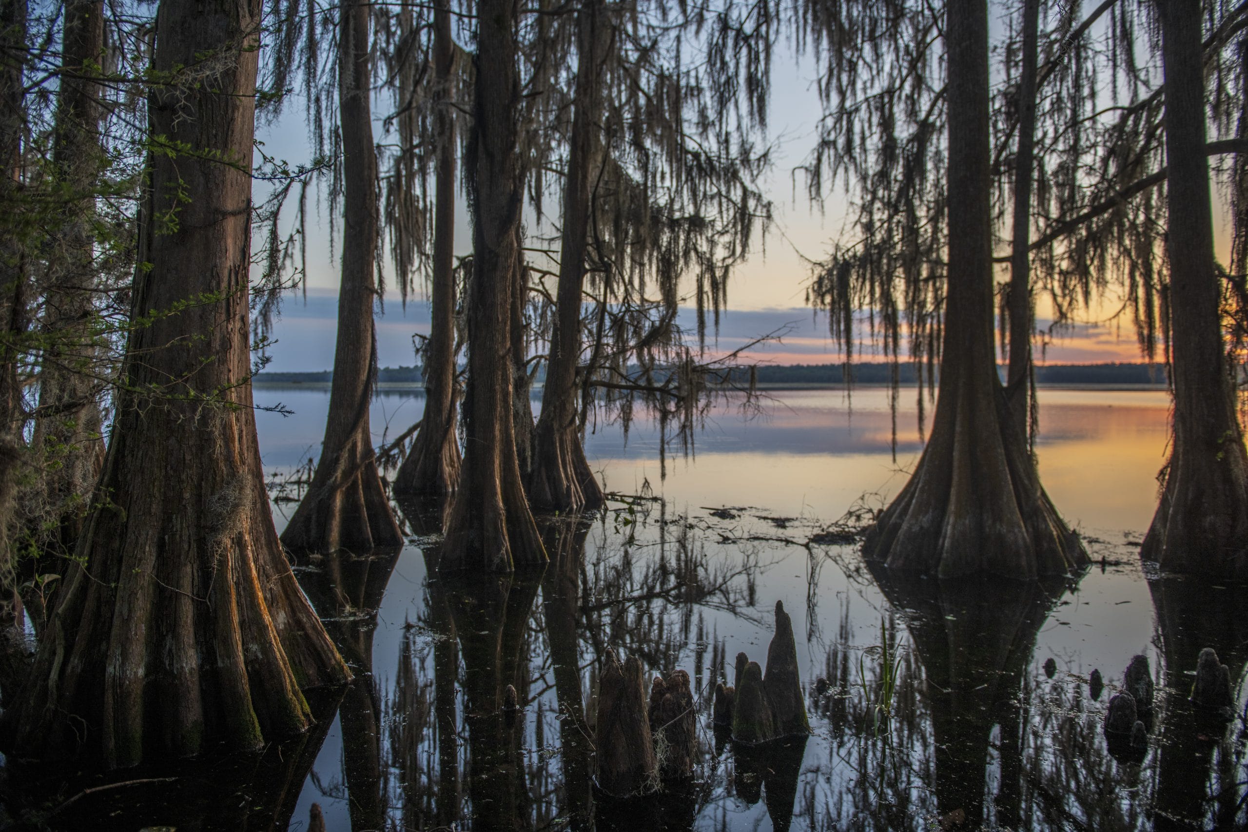 Conservation permanence matters in Florida