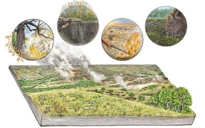 Land management recommendations “braided” from Indigenous Knowledge and western science