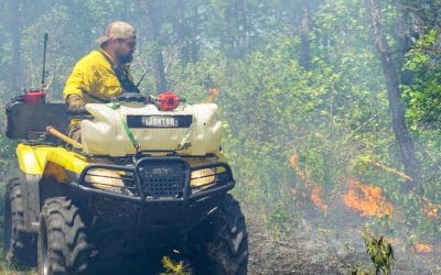 There are pros and cons to late-season prescribed fire