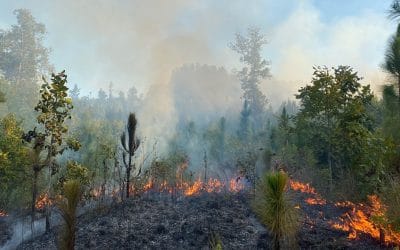 Private Lands team mixes fire implementation with education