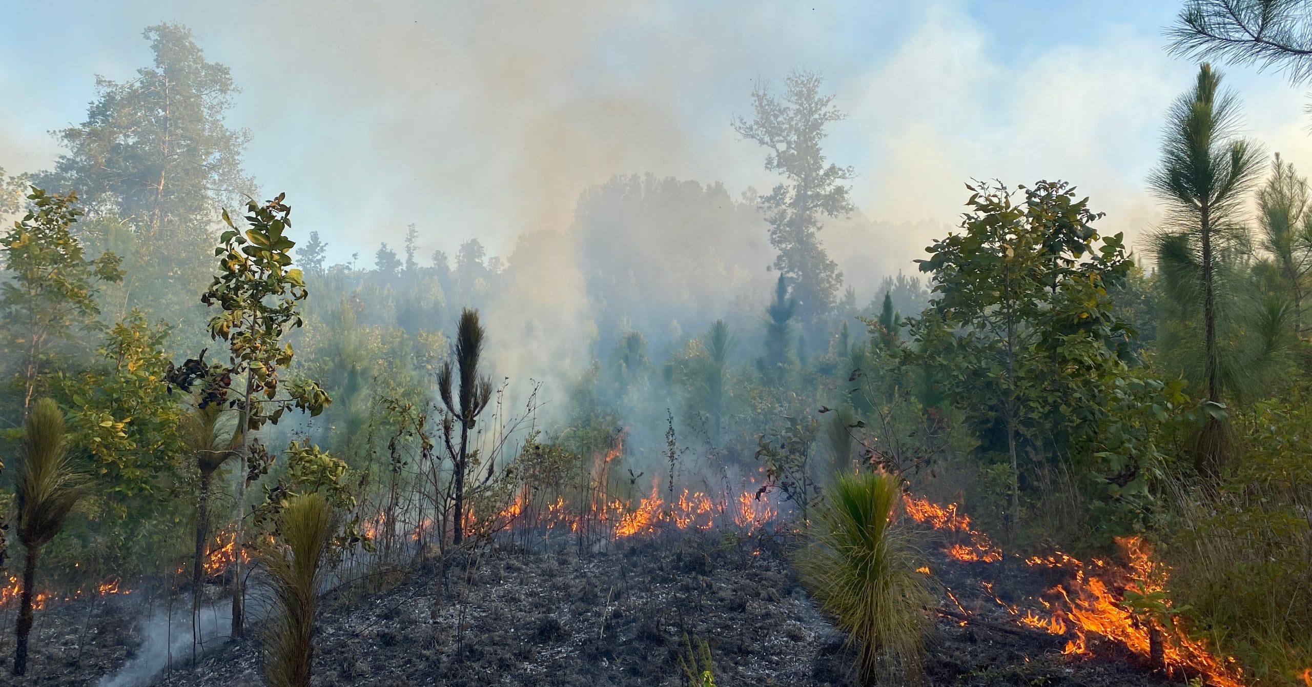 Private Lands team mixes fire implementation with education