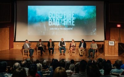 “Good Fire, Bad Fire” film looks toward active forest management