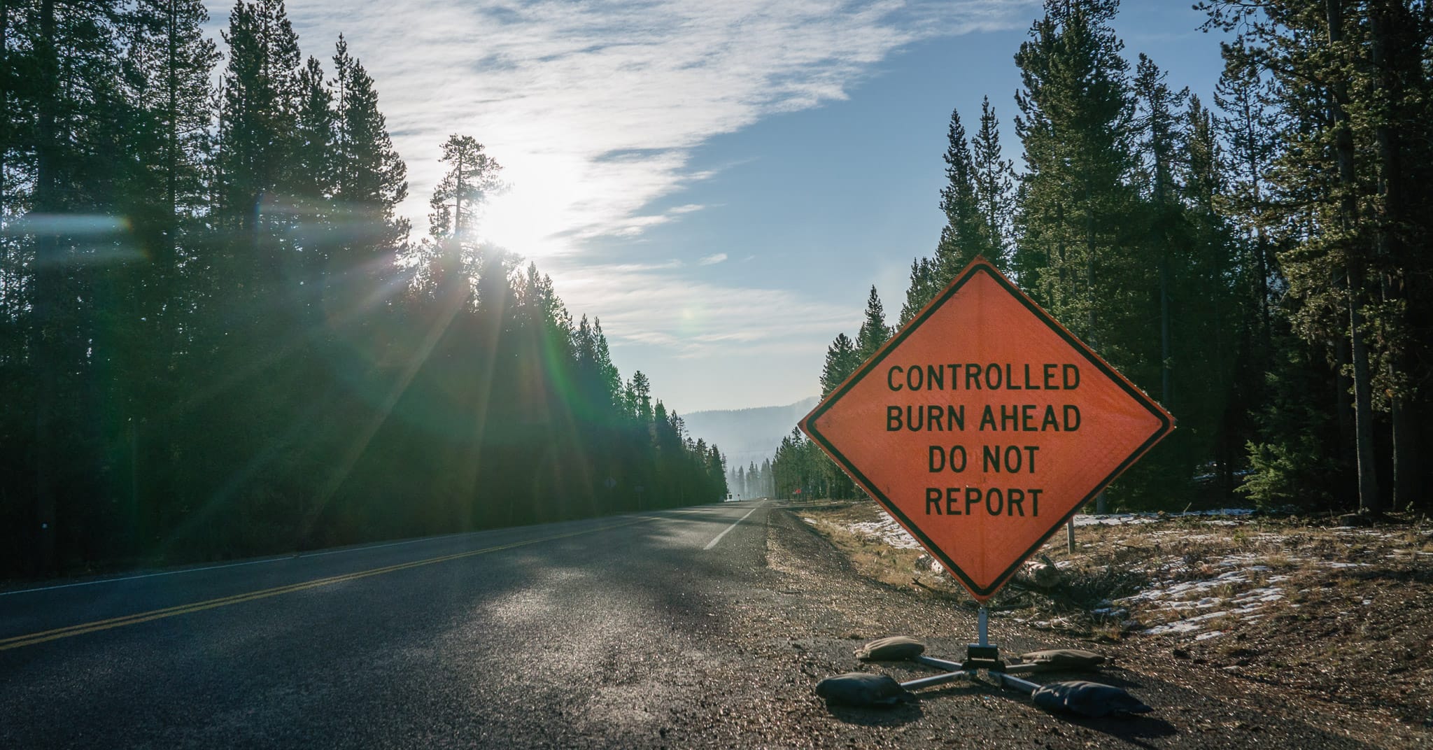 We don’t get to pick between climate solutions and forest management