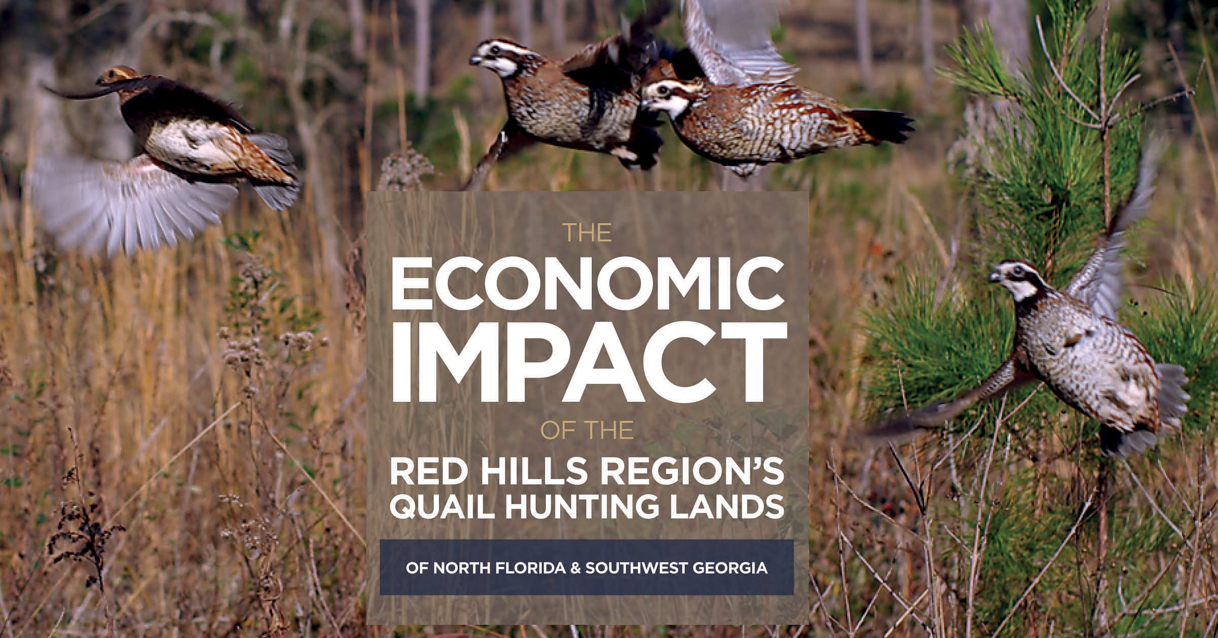 Tall Timbers needs your help with the 2024 Red Hills Quail Lands Economic Impact Analysis