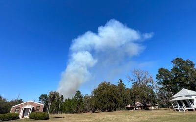 Investing in the science of smoke