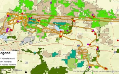 Red Hills wading bird survey offers population insights