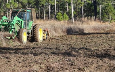 Winter disking will improve wildlife-friendly forbs