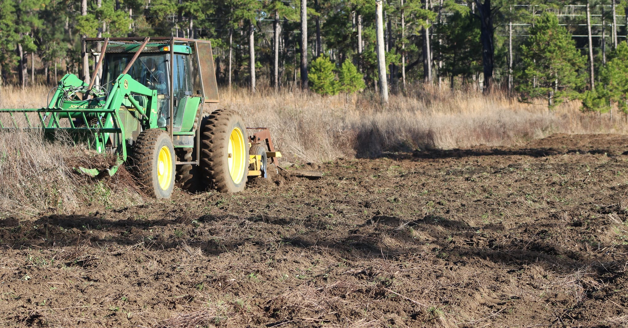Winter disking will improve wildlife-friendly forbs