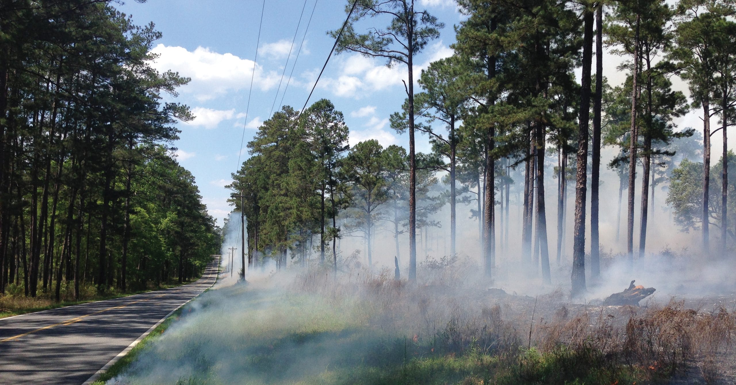 Improved air quality rule set for Albany 2026 burn season