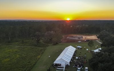 Tall Timbers highlights from 2024