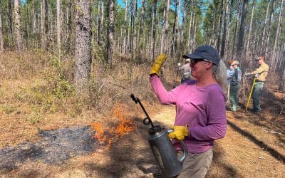 Tall Timbers leading the way on prescribed fire insurance