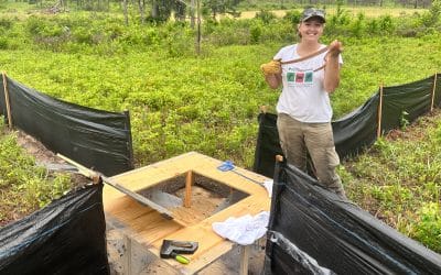 Study revisiting snake ecology providing insight into species abundance, disease