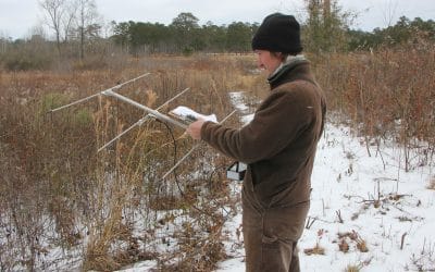 Winter quail survival is a year-round consideration
