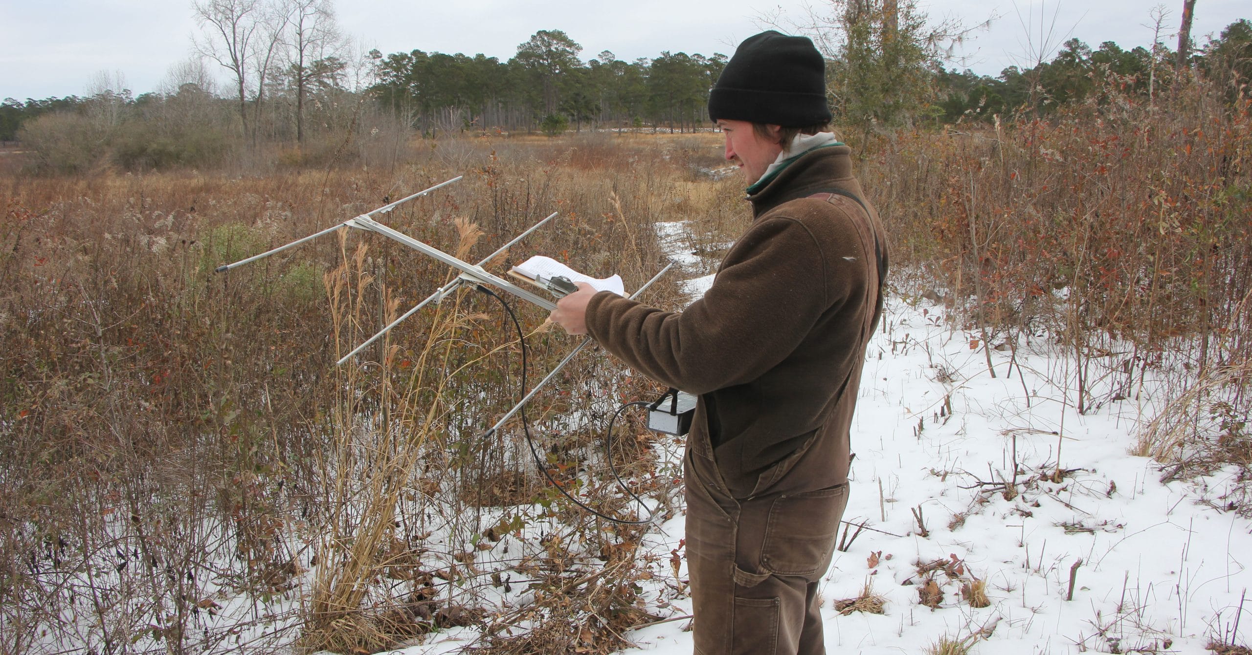 Winter quail survival is a year-round consideration