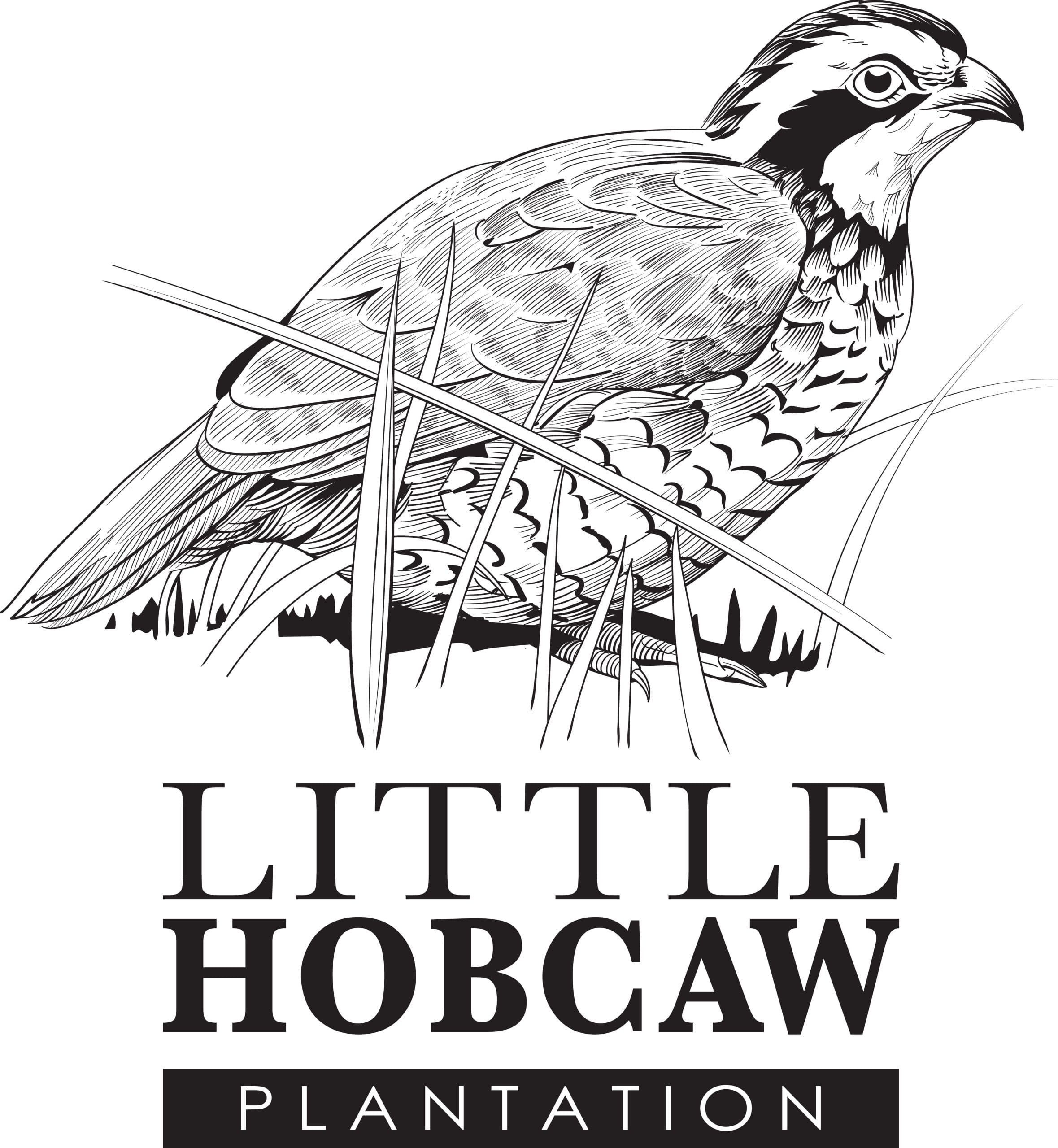 Little Hobcaw
