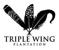 Triple Wing
