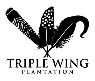 Triple Wing