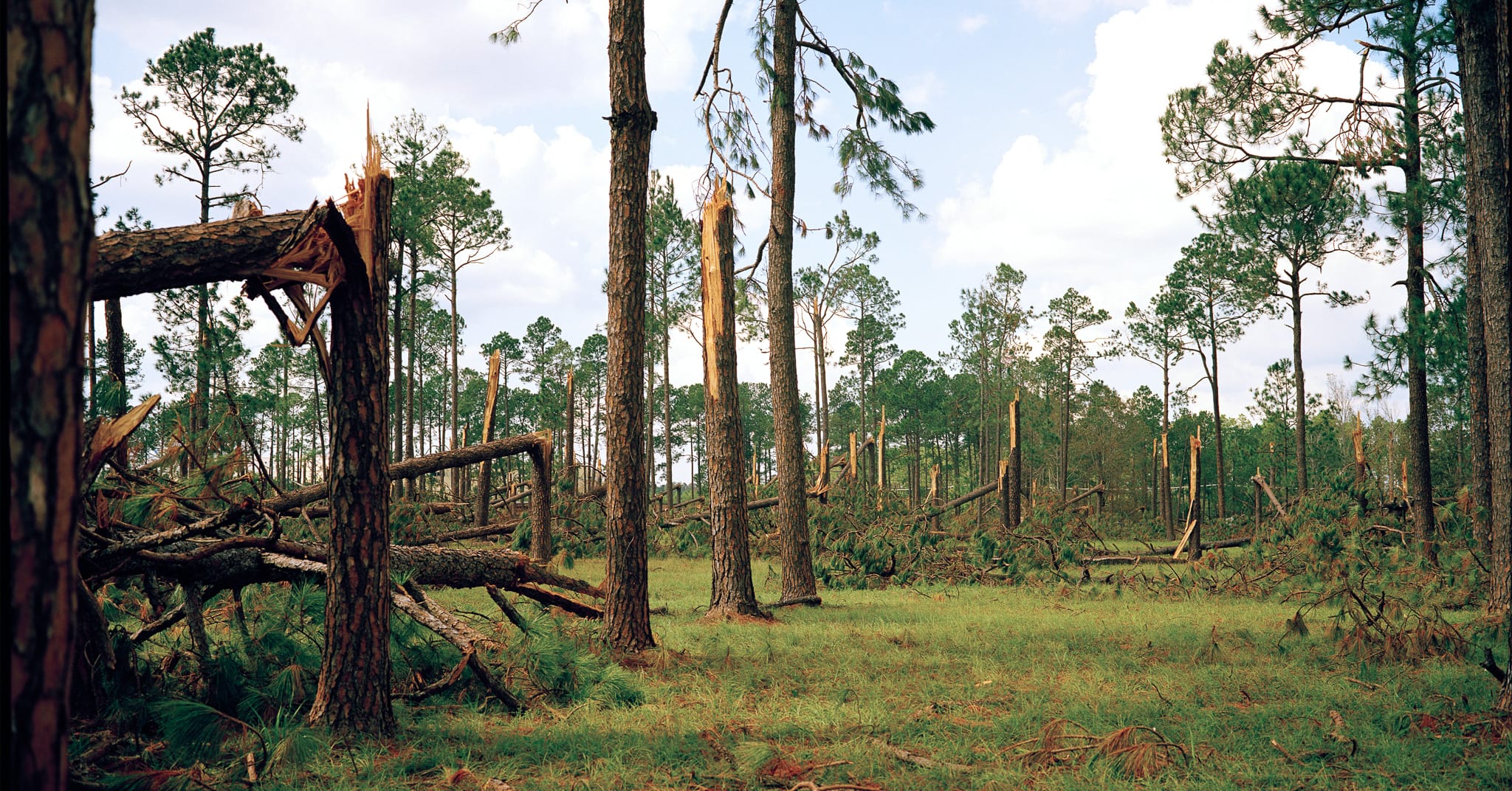 From forest management to cleanup, it’s time to prepare for hurricane season