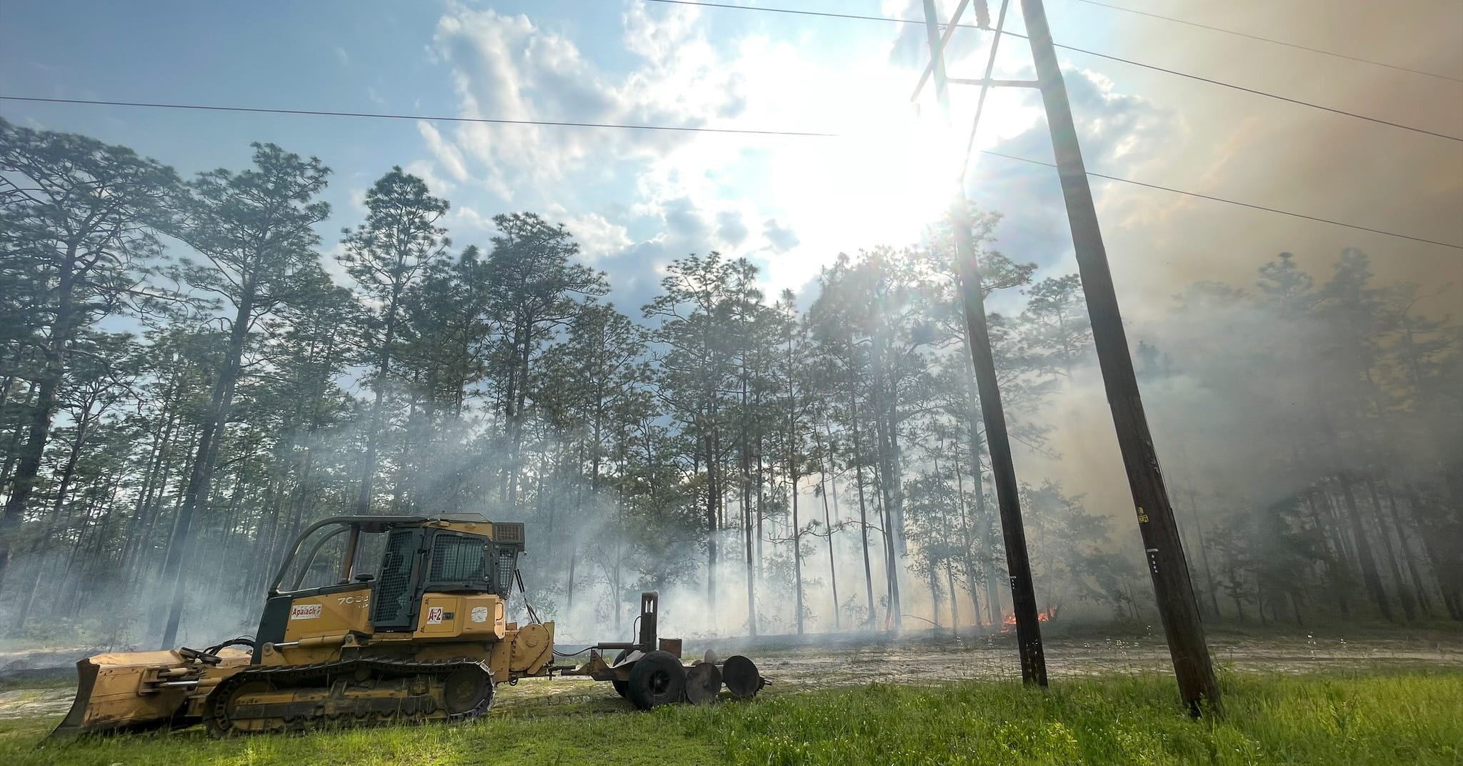 Apalachicola National Forest wildfire could benefit quail habitat