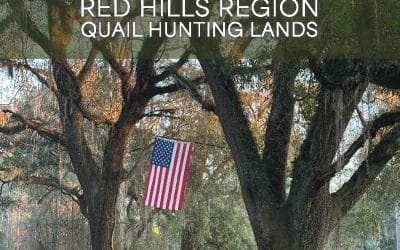The economics of quail: Red Hills properties contribute heartily