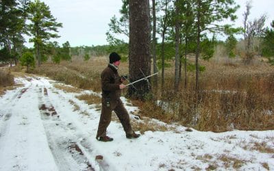 Long-term monitoring serves many purposes