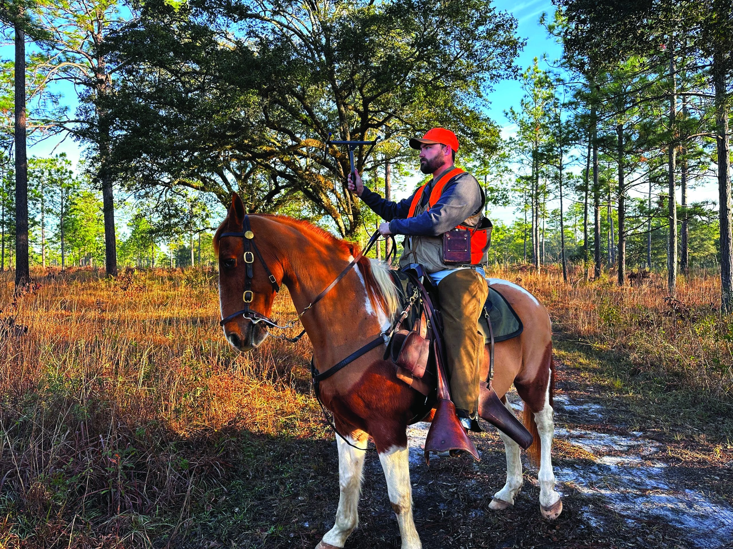 Understanding and minimizing unrecovered harvest in bobwhite