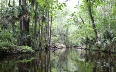 New protection secured for Jefferson County gem