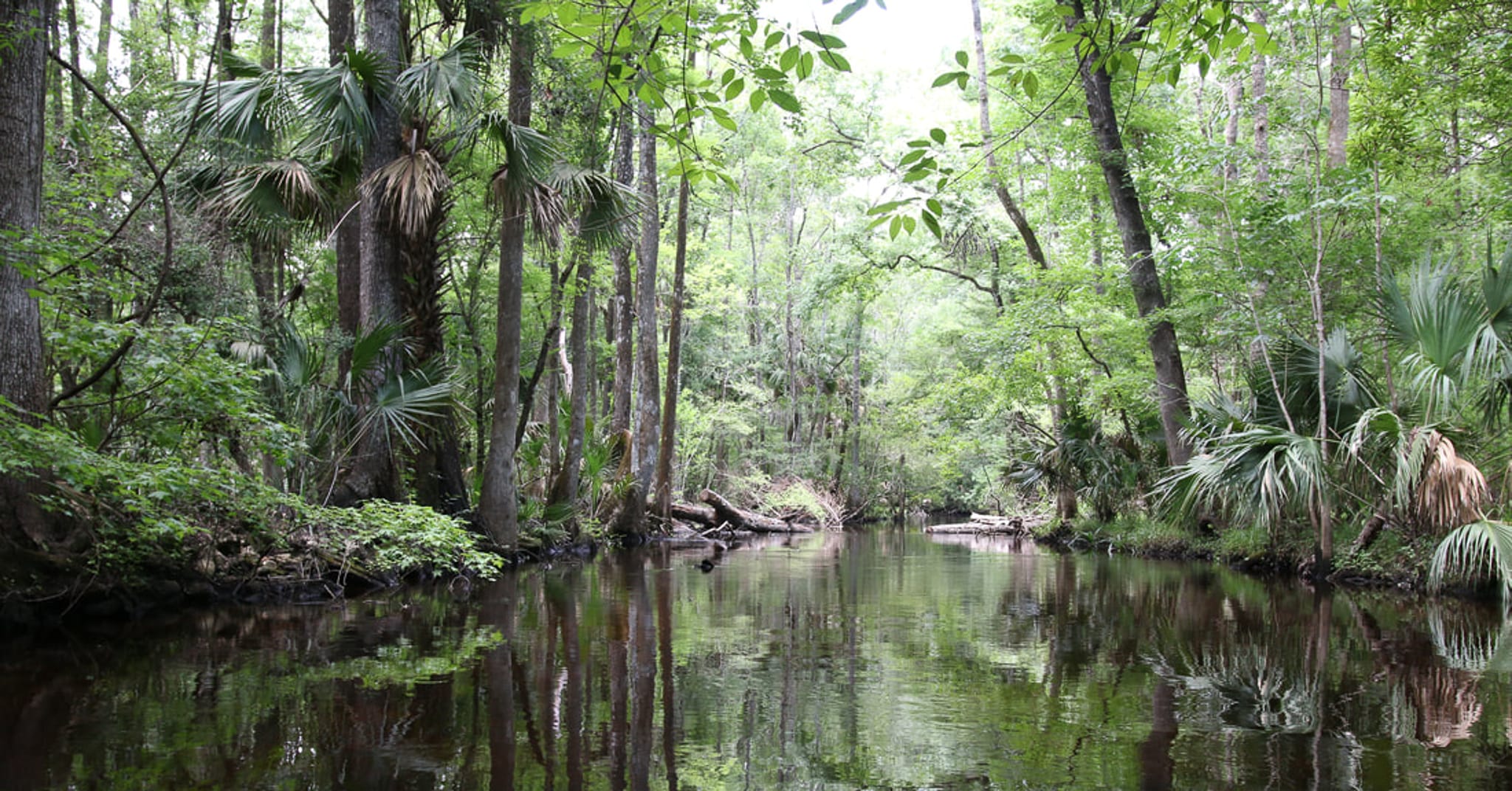 Wacissa Slave Canal