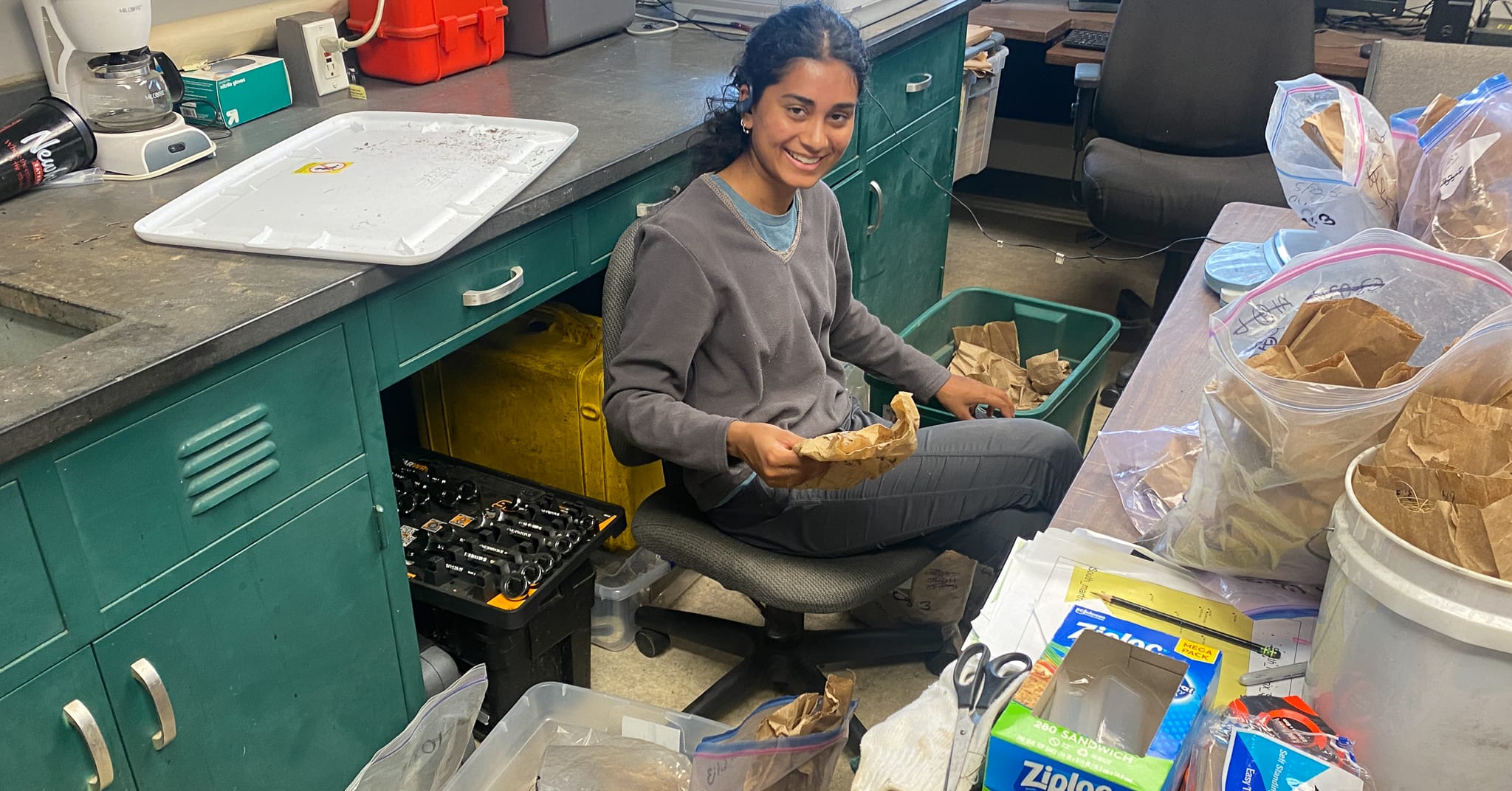 Belowground biomass in pine savannas – more than meets the eye