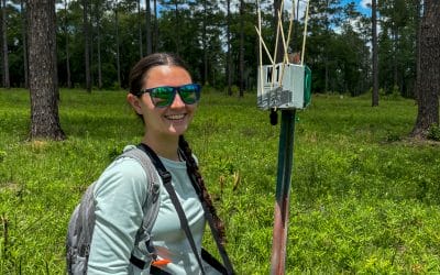 Can acoustic monitoring predict bird diversity?