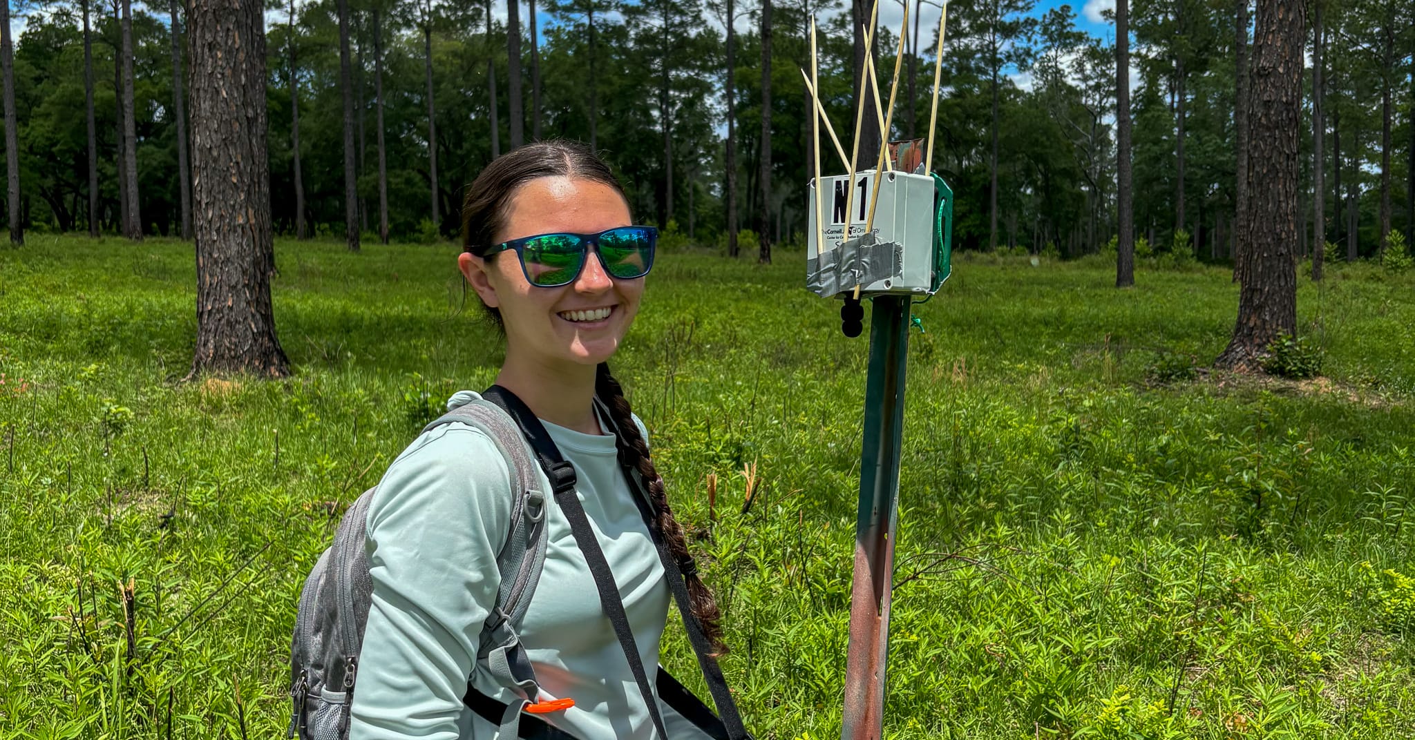 Can acoustic monitoring predict bird diversity?